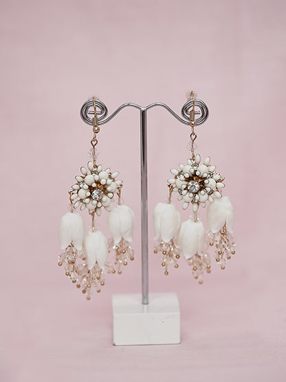 Splendid earrings