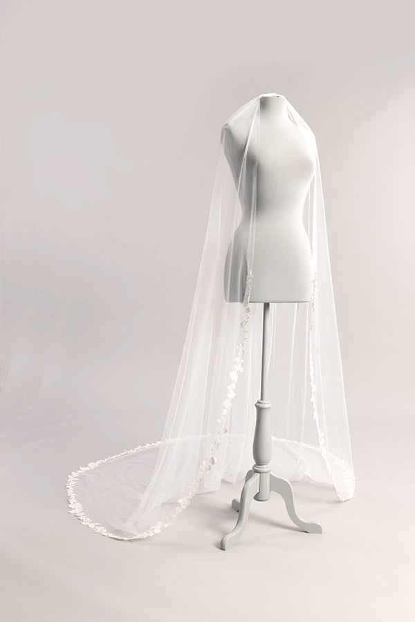 Lace trim cathedral veils in ivory